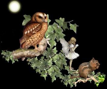 Bonne nuit  tout le monde